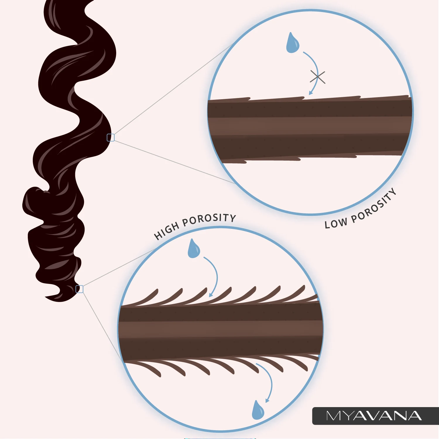 MYAVANA hair porosity education