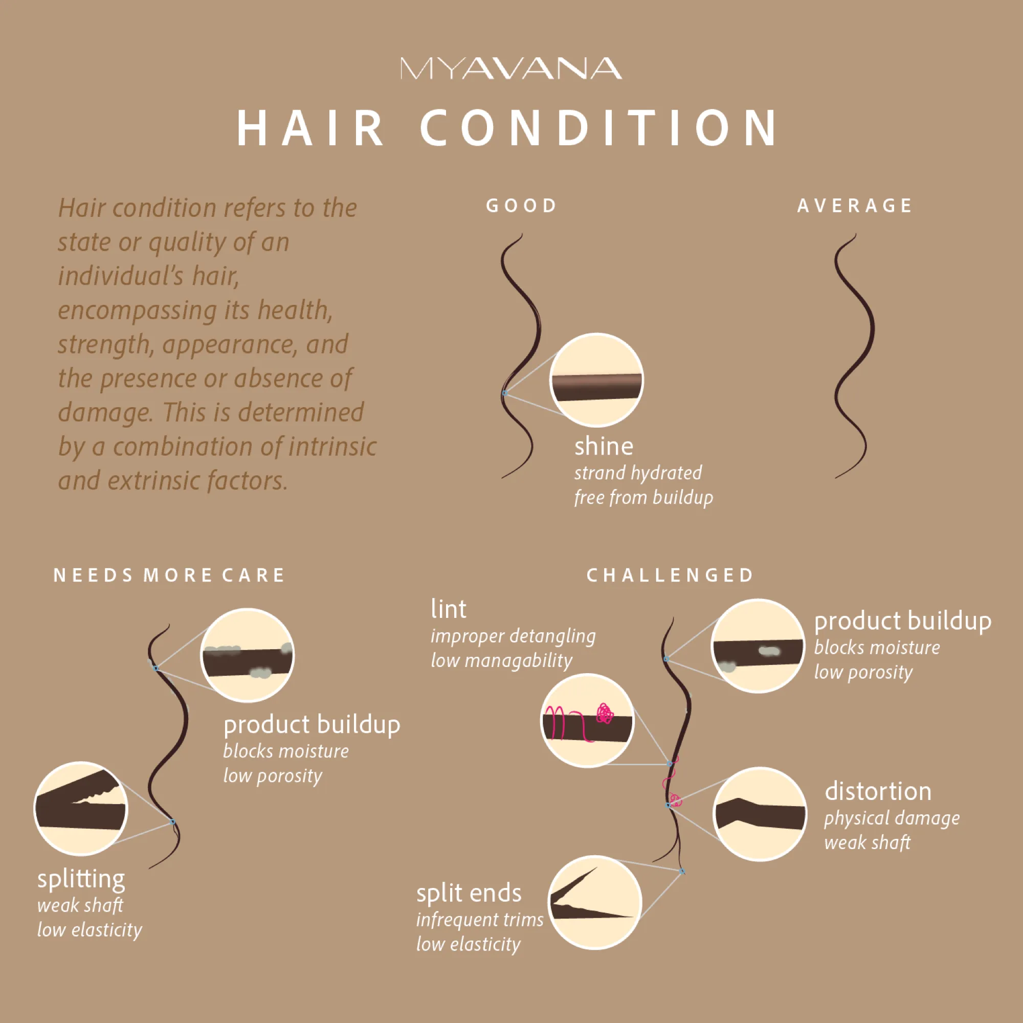 MYAVANA hair condition guide