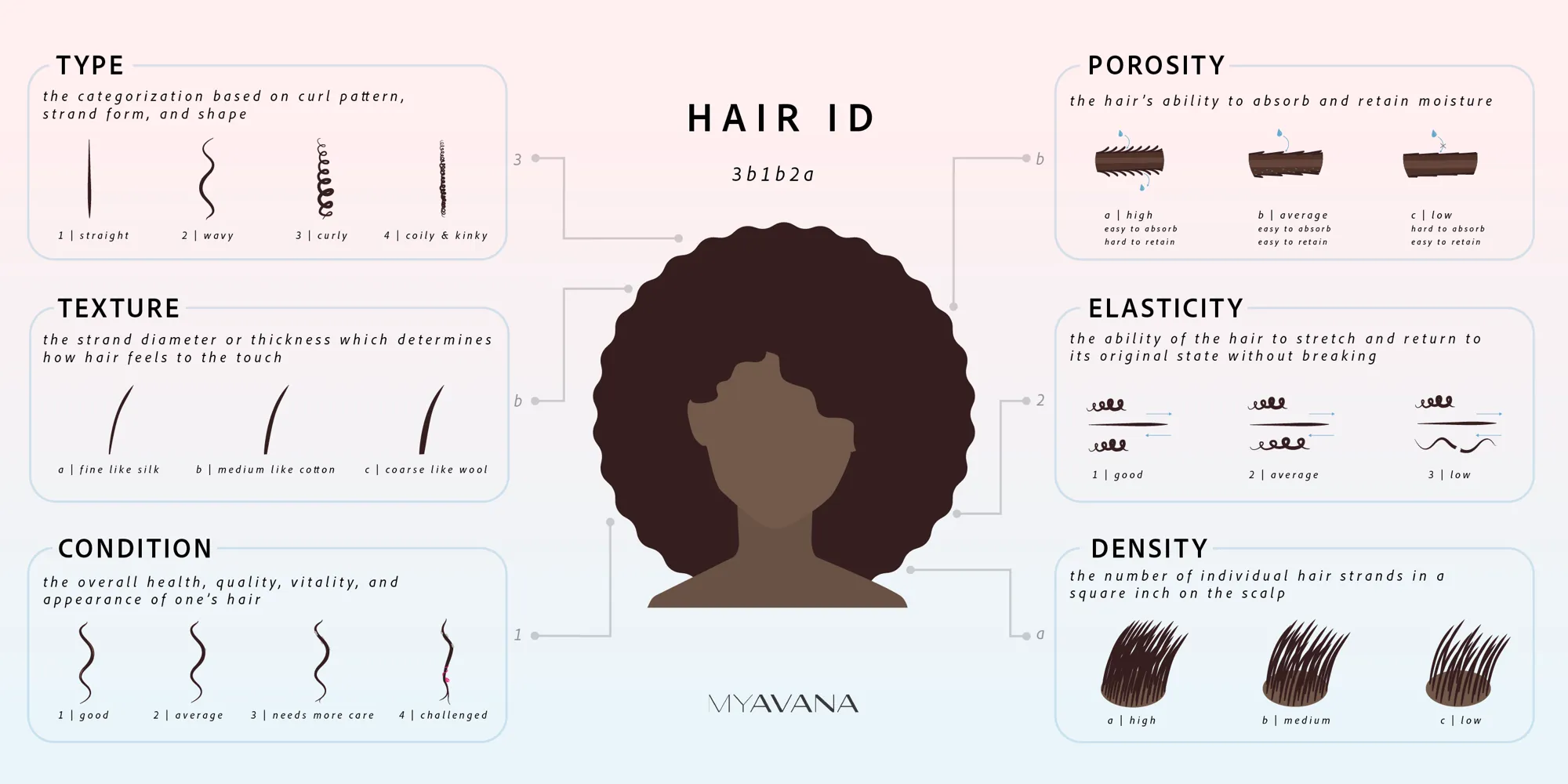 Complete MYAVANA Hair ID education guide