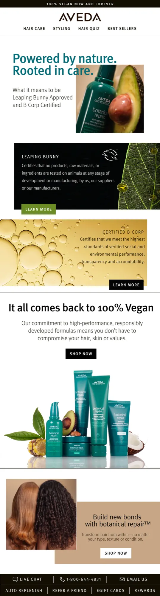 Complete Aveda marketing email 1