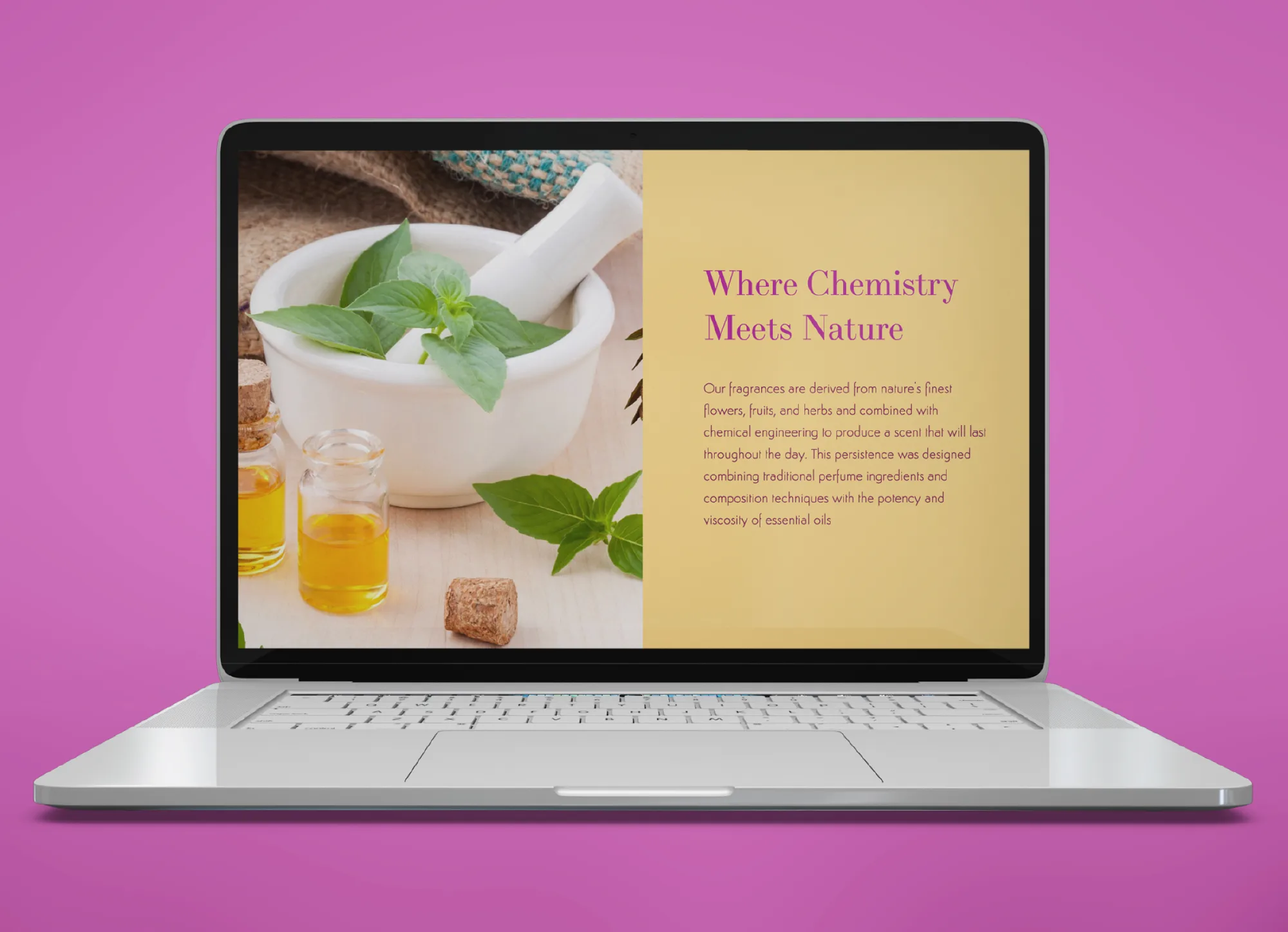 Website concept