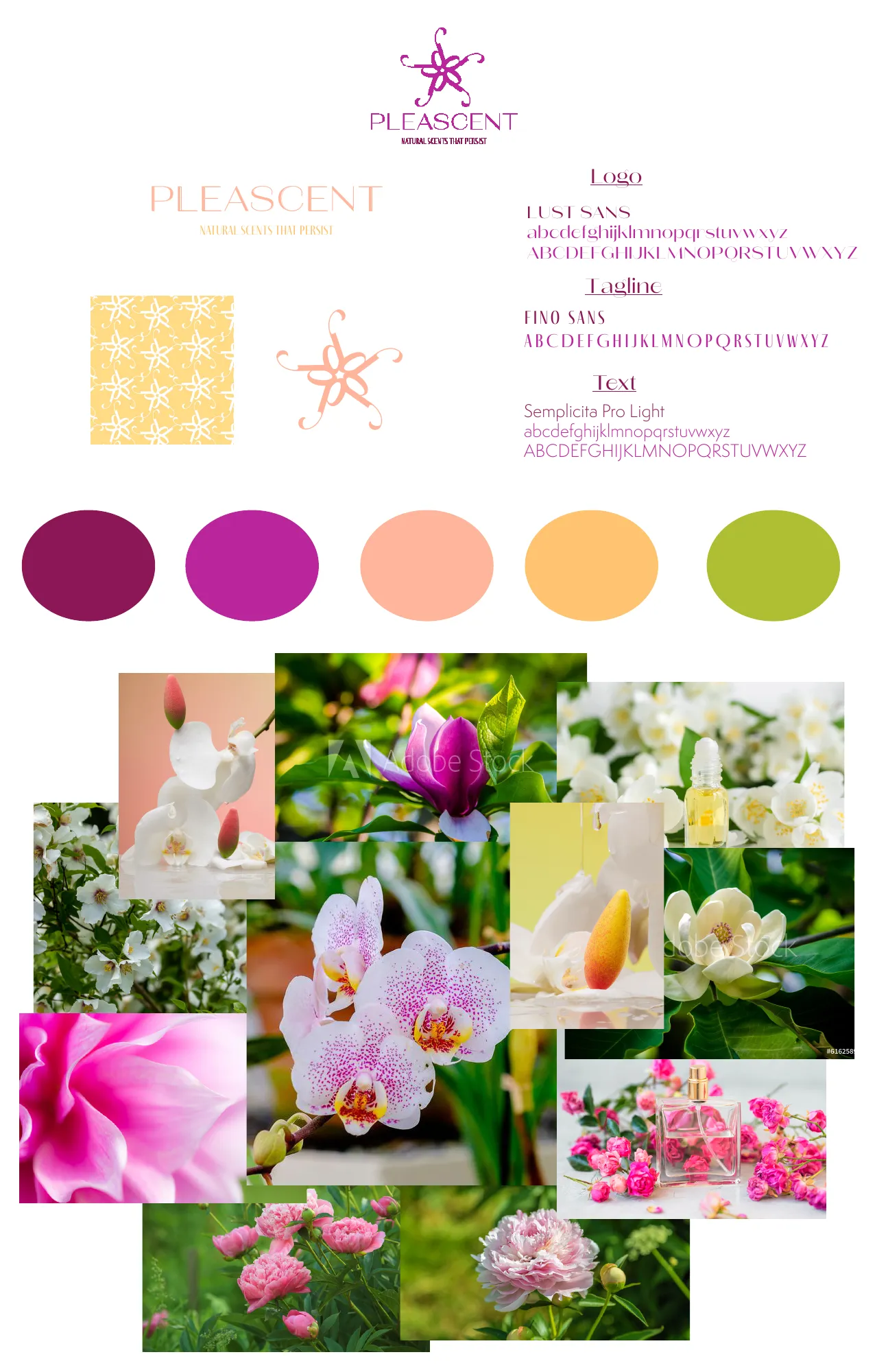 Complete Pleascent mood board and concepting sheet